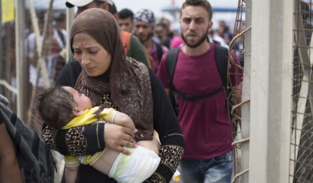 Хорватія прихистила вже більше 5 тисяч біженців