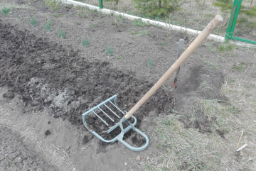 Огород, изображение из свободных источников