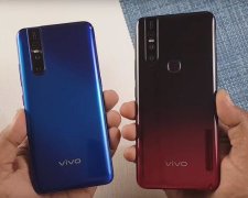 Vivo