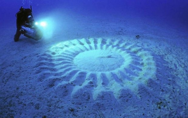 Ученые разгадали тайну загадочных кругов на дне Японского моря