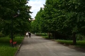 Не парк, а кладовище: тернополян не на жарт налякали клумби-надгробки