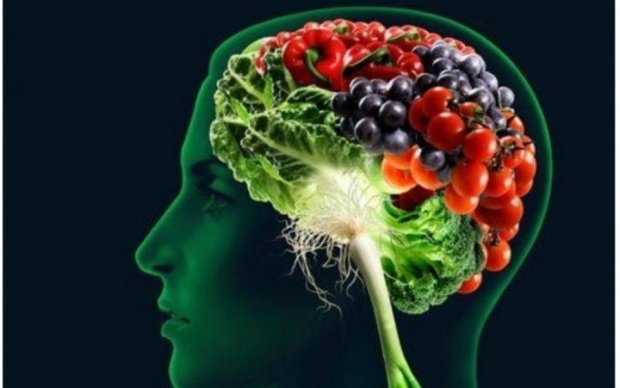 Как Стивен Хокинг: названы продукты, которые влияют на мозговую активность
