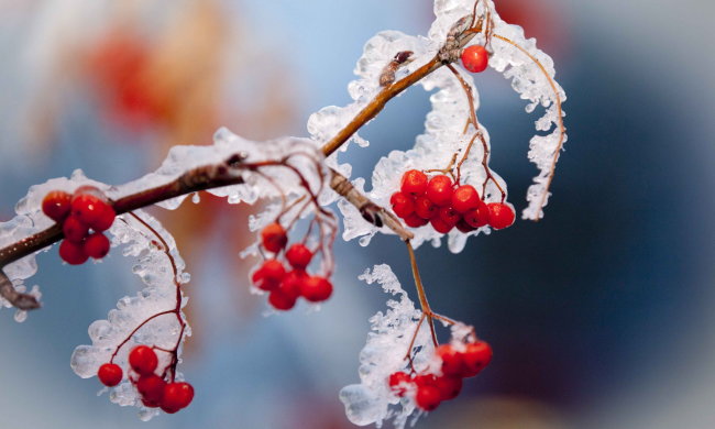 Погода на 25 сентября: осень перепуталась с зимой