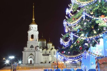 Празднование Нового года в Киеве, vladimirnews