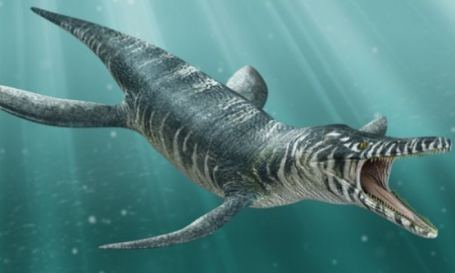 Гигантского монстра откопали у берегов Волги