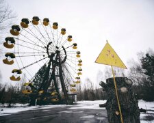 Чорнобиль ожив посеред зими, диво "мертвої зони" показали одним фото