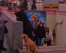 Украинцы, подземный переход, кадр из видео