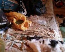 Пенсіонерка збожеволіла біля мертвої матері