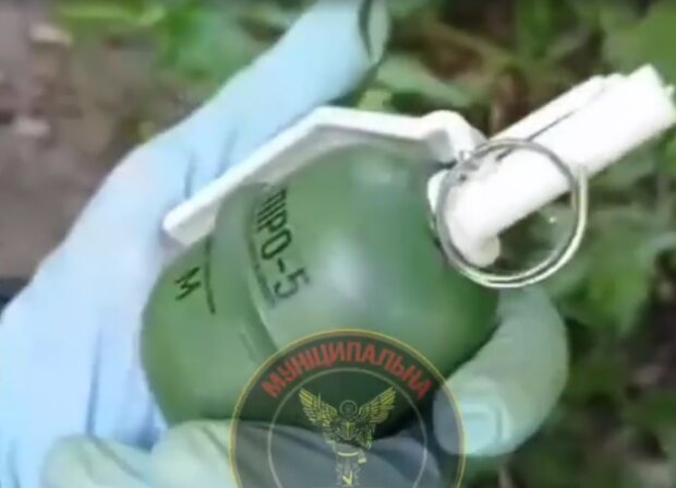 У парку Києва знайшли розтяжку з гранатою, скрін з відео
