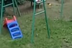 Щури на дитячому майданчику, кадр з відео