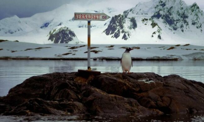 Біля української станції в Антарктиді знайшли нафту