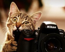 Всемирный день фотографии 2017: история и традиции праздника