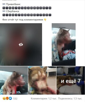 скриншот с Facebook