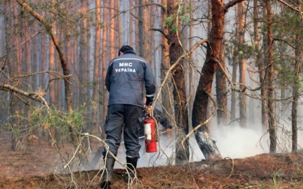 Пожежа у Чорнобилі: українців підстерігає дещо страшніше за радіацію