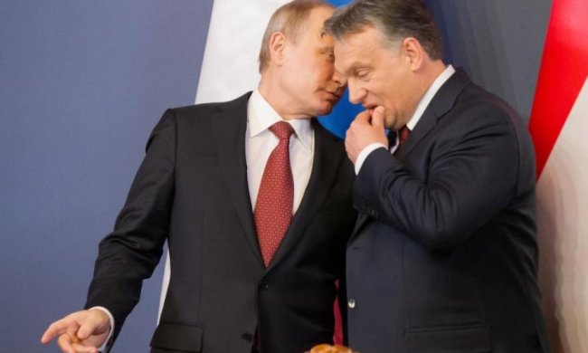 Закон про освіту розкрив всі "путінські консерви" в Європі?