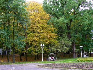 Винница, парк, декоративное фото