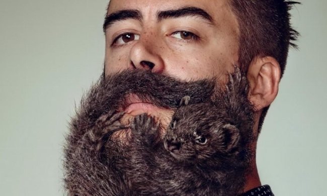 Сеть взорвало видео депиляции бороды (видео)