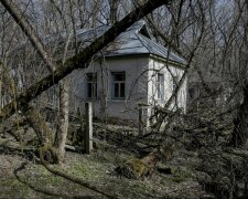 Величезні 4-х метрові нори та зірвана підлога: в покинутому будинку зони ЧАЕС виявили шокуючу знахідку