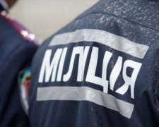 У міліції показали повістки Тягнибоку і компанії