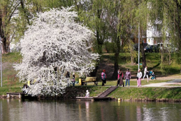 Парк, прогулянка, українці, фото із соцмереж