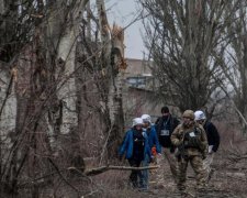 Залякують ОБСЄ: Путіна попросили притримати псів на Донбасі