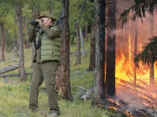 Поїздку Путіна в тайгу перетворили на дошкульні меми