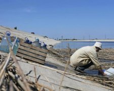 У мережі показали, як маленьких кримчан вчать винищувати українців: фото