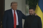 Зустріч Дональда Трампа і Володимира Зеленського