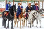 Шоу-показ "Світ коней" у "Парку Київська Русь"