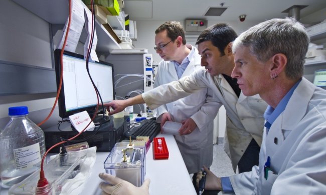 Болеутоляющие вызывают страшные последствия: вывод ученых заставит вас терпеть