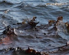 В Одесі море залило фекаліями