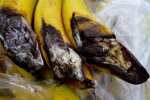Міноборони занижує ціни і змушує постачальників економити на якості харчів для ЗСУ – експерт