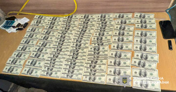 взятка за снятие с розыска и незаконный выезд из страны