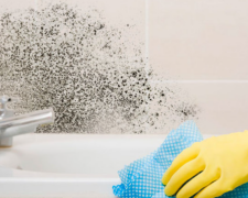 Цвіль у ванній, зображення з вільних джерел