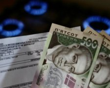 Які обов'язки мають прохачі субсидій