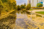 Ядовитые озера по всему городу отравляют киевлян: список вонючих водоемов