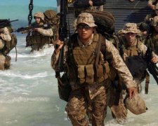 Военные возьмут лучшее у морских свиней
