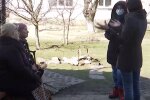 Пенсионеры, скриншот: Youtube