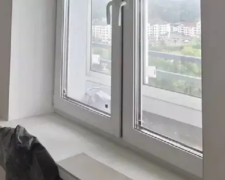 Пластикове підвіконня, кадр з відео