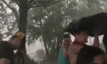 В Киеве бушует ураган с ливнем - воды по колено, ветер и поваленные деревья