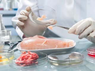 Пищевое отравление: опасные продукты