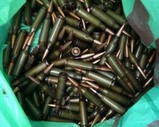 У лісі Закарпаття знайшли дві схованки з гранатами (фото)