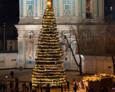Главная елка страны-2026, Софиевская площадь, фото из соцсеткй