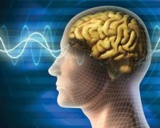 Імунітет впливає на соціальну поведінку