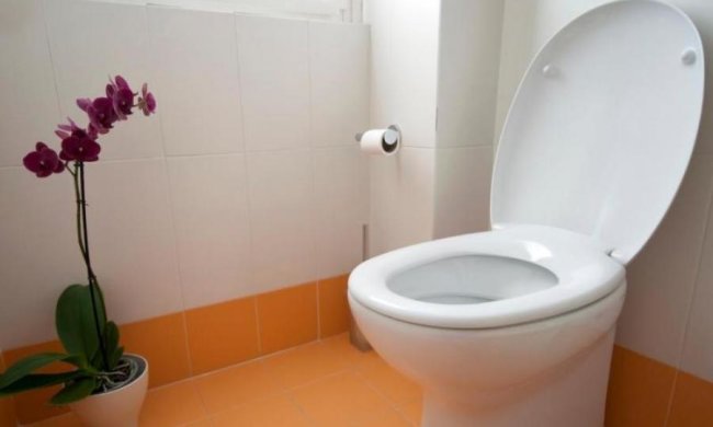 Чоловік витягнув з унітазу дещо двометрове