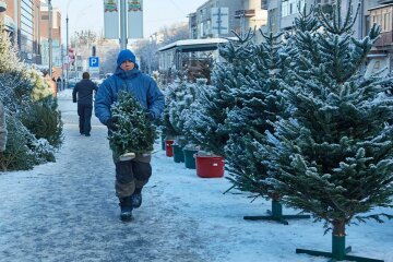 В Украине новогодние елки превратились в золото, цены взлетели выше облаков: подробности
