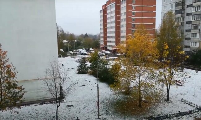 Правительство не сдержало непредсказуемого врага: страну засыпало снегом за месяцы до Нового Года