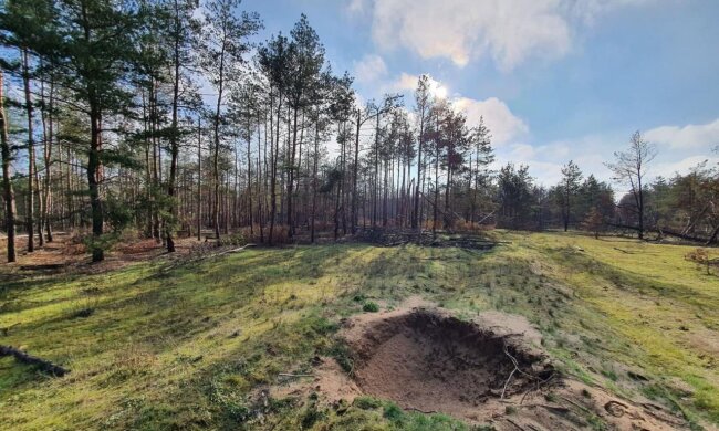 Черговий акт екоциду: понад 100 га за тиждень – такі масштаби знищення лісу росіянами на Лиманському напрямку
