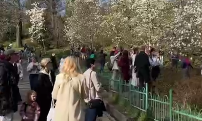 Украинцы, кадр из видео