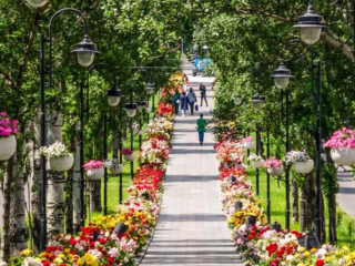 Українці, фото із соцмереж